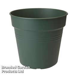 Leaf Green Grow Pot + Bell Cover + Saucer