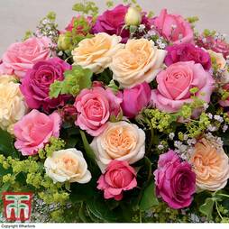 Rose Home Florist Timeless Collection