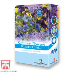 Summer Flowers Theme Blue Skies - Seed Scatter Pack