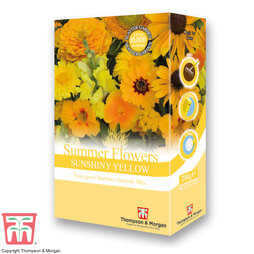 Summer Flowers Theme Sunshine Yellow - Seed Scatter Pack
