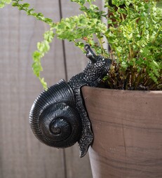 Antique Bronze Coloured Snail Pot Buddy - Pot Hanger