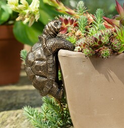 Antique Bronze Coloured Tortoise Pot Buddy - Pot Hanger