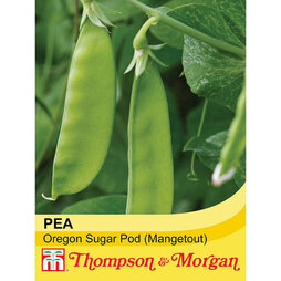 Pea 'Mangetout' - Start-A-Garden? Seed Range