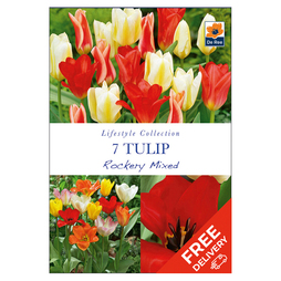 Tulip Rockery Mixed - 10-11cm Bulbs - 7 Bulbs - Spring Bulbs Free Delivery