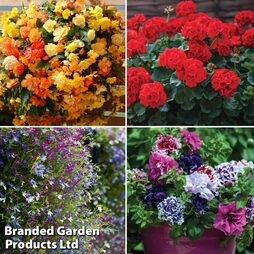 Ultimate Hanging Basket Collection