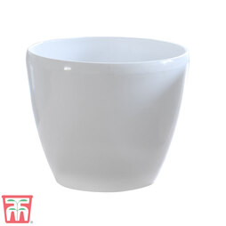 White Plastic Pot