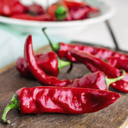 Chilli Pepper 'Anaheim' (Moderately Hot) - Seeds