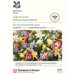 Aquilegia x hybrida 'McKana Giants Mixed' - National Trust Seeds