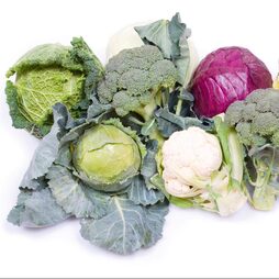 Keep Cropping Brassica Autumn Collection