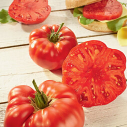 Tomato 'Buffalosteak' F1 Hybrid - Seeds