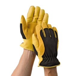 Gold Leaf Winter Touch Gloves Mens