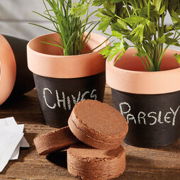 Herb Kit with Terracotta Chalk Pots