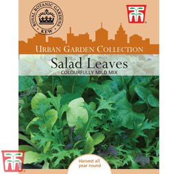 Salad Leaves 'Colourfully Mild Mix' - Kew Collection Seeds