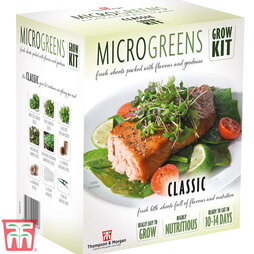 Seed Grow Kit Microgreens Classic