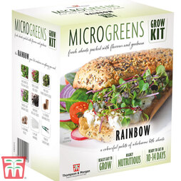 Seed Grow Kit Microgreens Rainbow