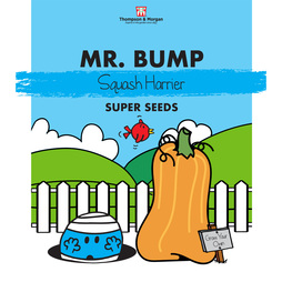 Mr. Men? Little Miss? - Mr. Bump - Squash 'Harrier' - Seeds
