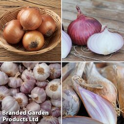 Onion, Shallot & Garlic Saver Pack