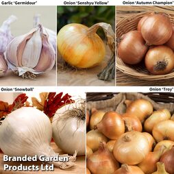 Onion + Garlic Saver Collection