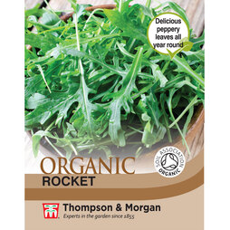 Herb Rocket (Cultivated) - Organic Seeds