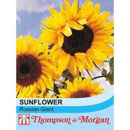 Sunflower 'Russian Giant' - Start-A-Garden? Seed Range