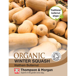 Squash 'Waltham Butternut' (Winter) - Organic Seeds