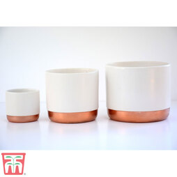 Two-tone ceramic pots - White/Rose Gold